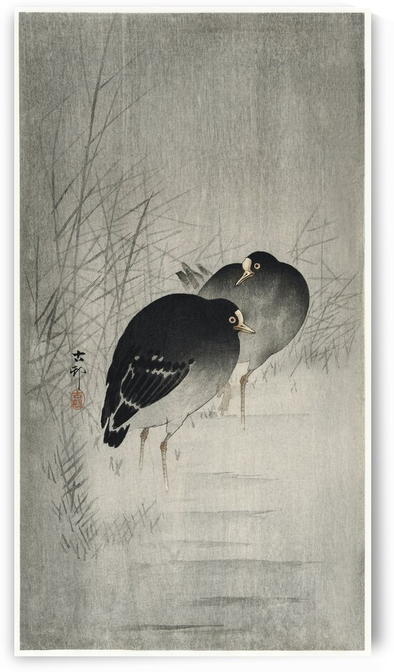 Moorhills between reeds 1900 - 1930 by Ohara Koson 1877-1945. by IStockHistory com