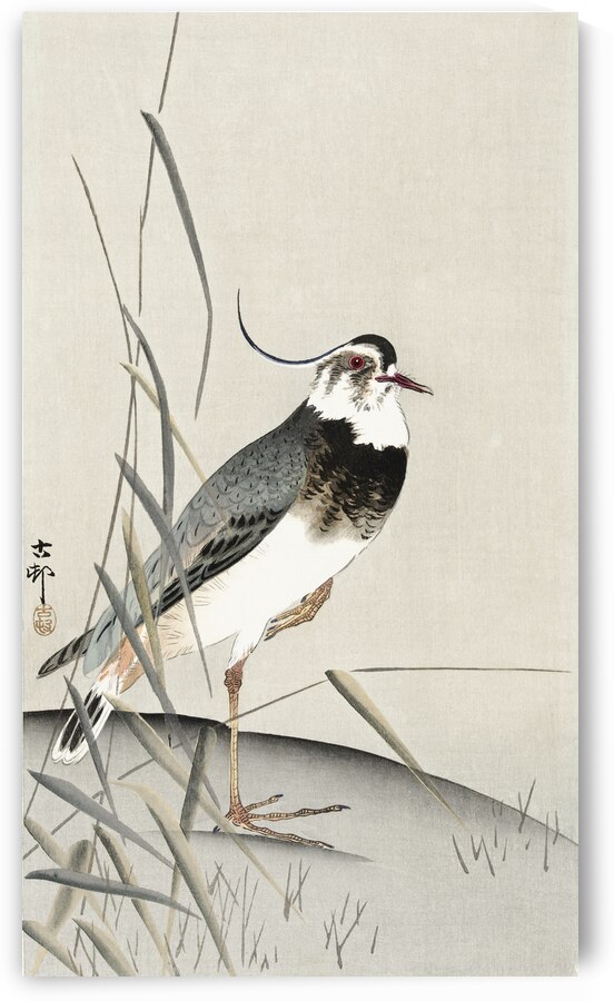 Lapwing and reed Ohara Koson 1900 - 1930 by Ohara Koson 1877-1945. by IStockHistory com