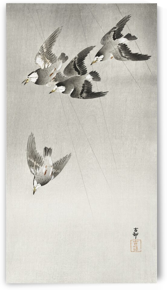 Starlings in the rain 1900 - 1930 by Ohara Koson 1877-1945. by IStockHistory com