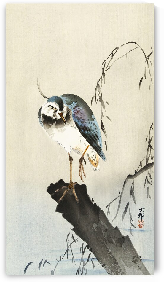 Lapwing on tree stump 1900 - 1930 by Ohara Koson 1877-1945. by IStockHistory com