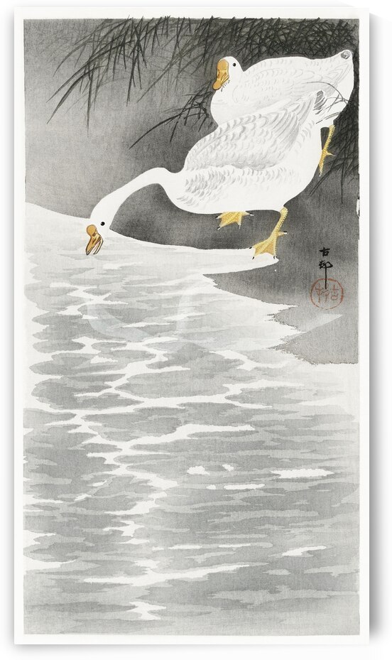 Geese on the shore 1900 - 1930 by Ohara Koson 1877-1945. by IStockHistory com