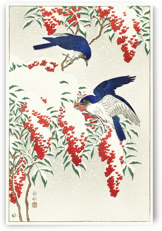 Flycatchers on a nandina bush 1925 - 1936 by Ohara Koson 1877-1945. by IStockHistory com