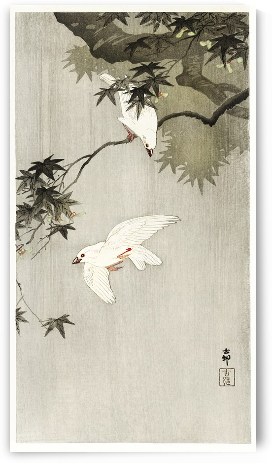 Birds in rain 1900 - 1936 by Ohara Koson1877-1945. by IStockHistory com