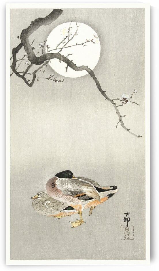 Ducks at full moon 1900 - 1945 by Ohara Koson 1877-1945. by IStockHistory com
