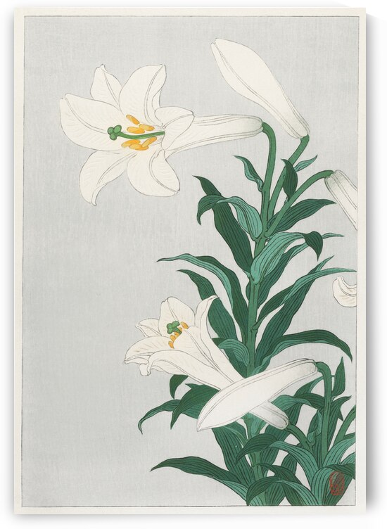 Lilies Ohara  1920 - 1930 by Ohara Koson 1877-1945. by IStockHistory com