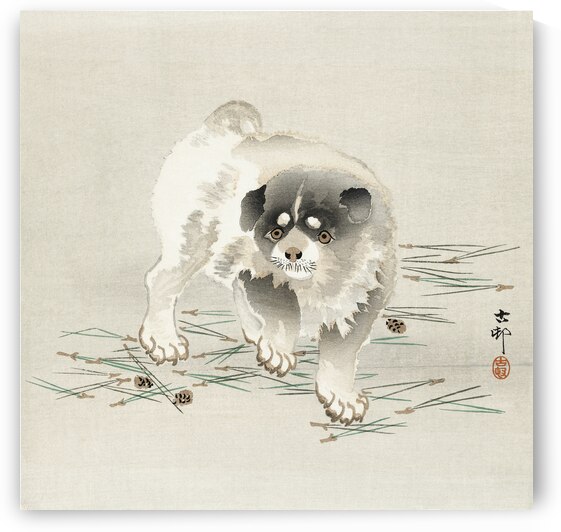 Young dog 1900 - 1930 by Ohara Koson 1877-1945. by IStockHistory com
