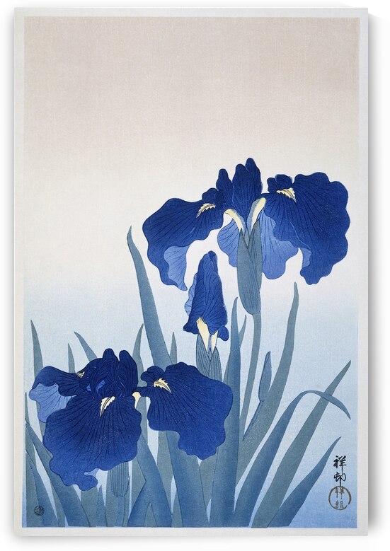Iris flowers 1925 - 1936 by Ohara Koson 1877-1945. by IStockHistory com