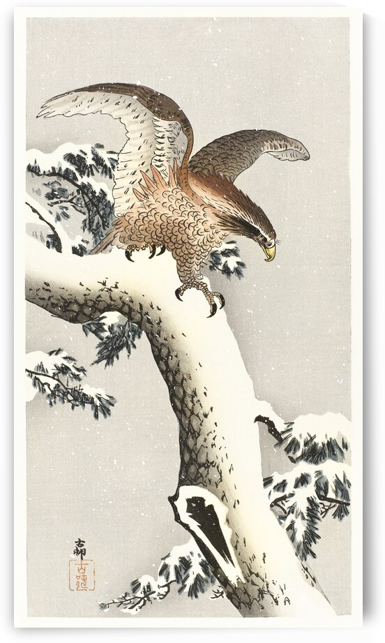 Eagle on a tree branch 1887 - 1930 by Ohara Koson 1877-1945. by IStockHistory com