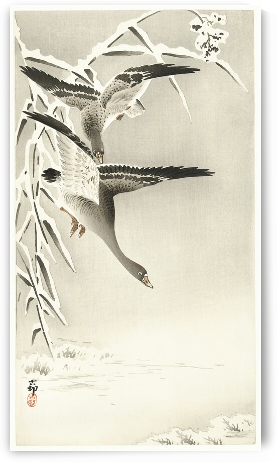 Two collies in snowy landscape 1900 - 1930 by Ohara Koson 1877-1945. by IStockHistory com