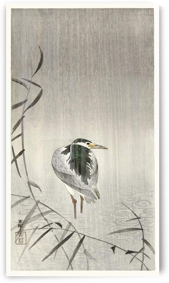 Kwak in rain 1900 - 1936 by Ohara Koson 1877-1945. by IStockHistory com