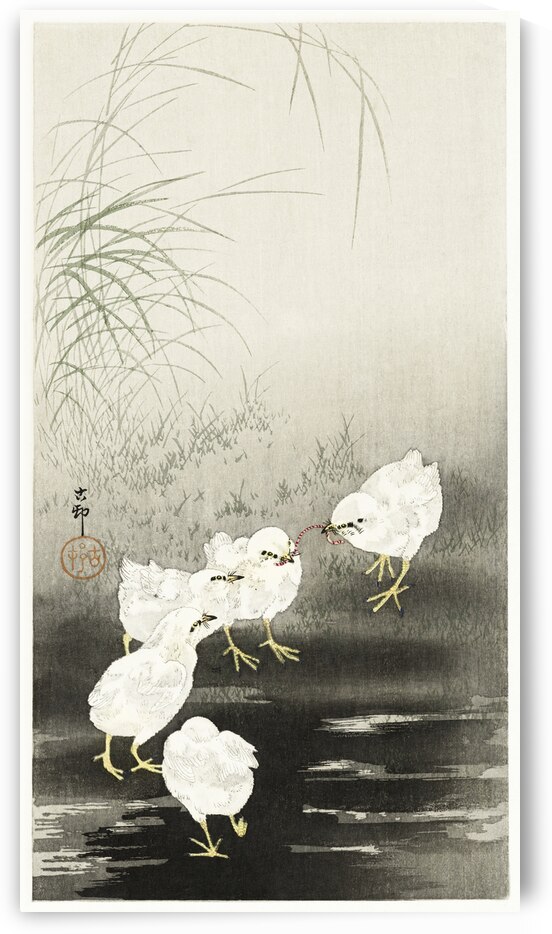 Chicks eating worms 1900 - 1930 by Ohara Koson 1877-1945. by IStockHistory com