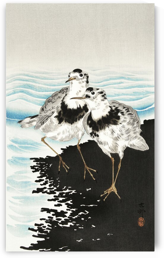 Large coot sandpipers 1900 - 1930 by Ohara Koson 1877-1945. by IStockHistory com