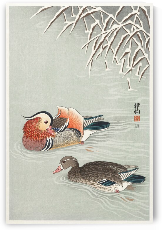 Mandarin ducks 1925 - 1936 by Ohara Koson 1877-1945. by IStockHistory com