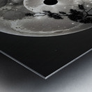 A Full Moon Ying Yang By ISHISH Metal print