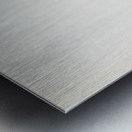 Red-crested Pochard Netta rufina Metal print