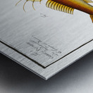 1. 2. Cottus monopterigius 3. Gobius Plümieri Metal print