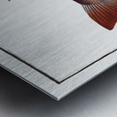 Tang Mugil Tang Metal print