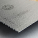 Starry Ball Mammillaria elephantidens Impression metal