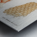 Kingfisher Alcedo Metal print