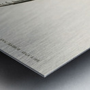 Great argus Phasianus argus Metal print