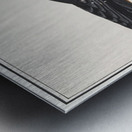 Lammergeier in vintage style Metal print