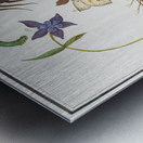 Nature ensemble in vintage style Metal print