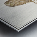 Pygmy owl in vintage style Metal print