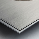 European green woodpecker in vintage style Metal print