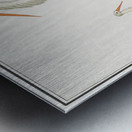 Stork in vintage style Metal print