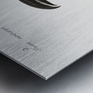 Tucana Piperivora Mangiapepe Toucan Metal print