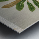 Sarah Featon 009 Metal print