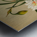 Album van Eeden : Haarlems flora : 1872-1881 Metal print