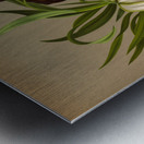 Album van Eeden : Haarlems flora : 1872-1881 Metal print