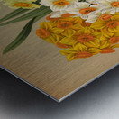 Album van Eeden : Haarlems flora : 1872-1881 Metal print