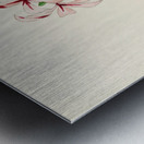 Pachypodium Succulentum Metal print