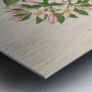 Gardenia Nov. Sp. [Hyperacanthus amoenus] 1817 Metal print