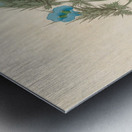 Acanthus carduifolia [Blepharis sinuata] 1817 Metal print