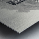 Mary Orvis Marbury 006 Metal print