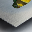 John Gould trogons 024 Metal print