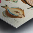 Colourful and surreal illustrations of fishes found in Moluccas Indonesia and the East Indies by Louis Renard 1678 -1746 from Histoire naturelle des plus rares curiositez de la mer des Indes 1754. Metal print