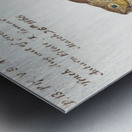 Antique fish tinca tinca cyprindae family South Pacific Fishes by Frank Edward Clarke 1849-1899.  Metal print