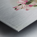 Laelia autumnalis xanthotropis from Reichenbachia Orchids 1888-1894 illustrated by Frederick Sander 1847-1920.  Metal print