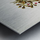 Rands Encyclia Epidendrum atro-purpureum var randianum from Reichenbachia Orchids 1888-1894 illustrated by Frederick Sander 1847-1920.  Metal print