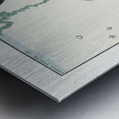 Papillons 1922 print  by George Barbier.  Metal print