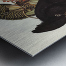 Banksian Cockatoo Calyptorhynchus Banksii illustrated by Elizabeth Gould 1804–1841 for John Gould’s 1804-1881 Birds of Australia  Metal print