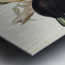 Victoria Rifle-bird Ptiloris Victoriae illustrated by Elizabeth Gould 1804–1841 for John Gould’s 1804-1881 Birds of Australia  Metal print