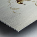 Yellow-spotted Honey-eater Ptilotis notata illustrated by Elizabeth Gould 1804–1841 for John Gould’s 1804-1881 Birds of Australia  Metal print