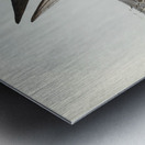 Grey-backed Storm Petrel Thalassidroma Nereis illustrated by Elizabeth Gould 1804–1841 for John Gould’s 1804-1881 Birds of Australia  Metal print