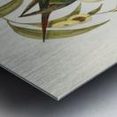 Swift Lorikeet Lathamus discolor illustrated by Elizabeth Gould 1804–1841 for John Gould’s 1804-1881 Birds of Australia  Metal print