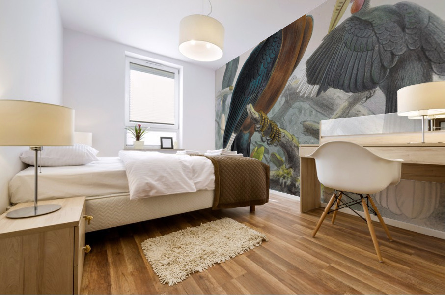 Aceros nepalensis 1882 Mural print